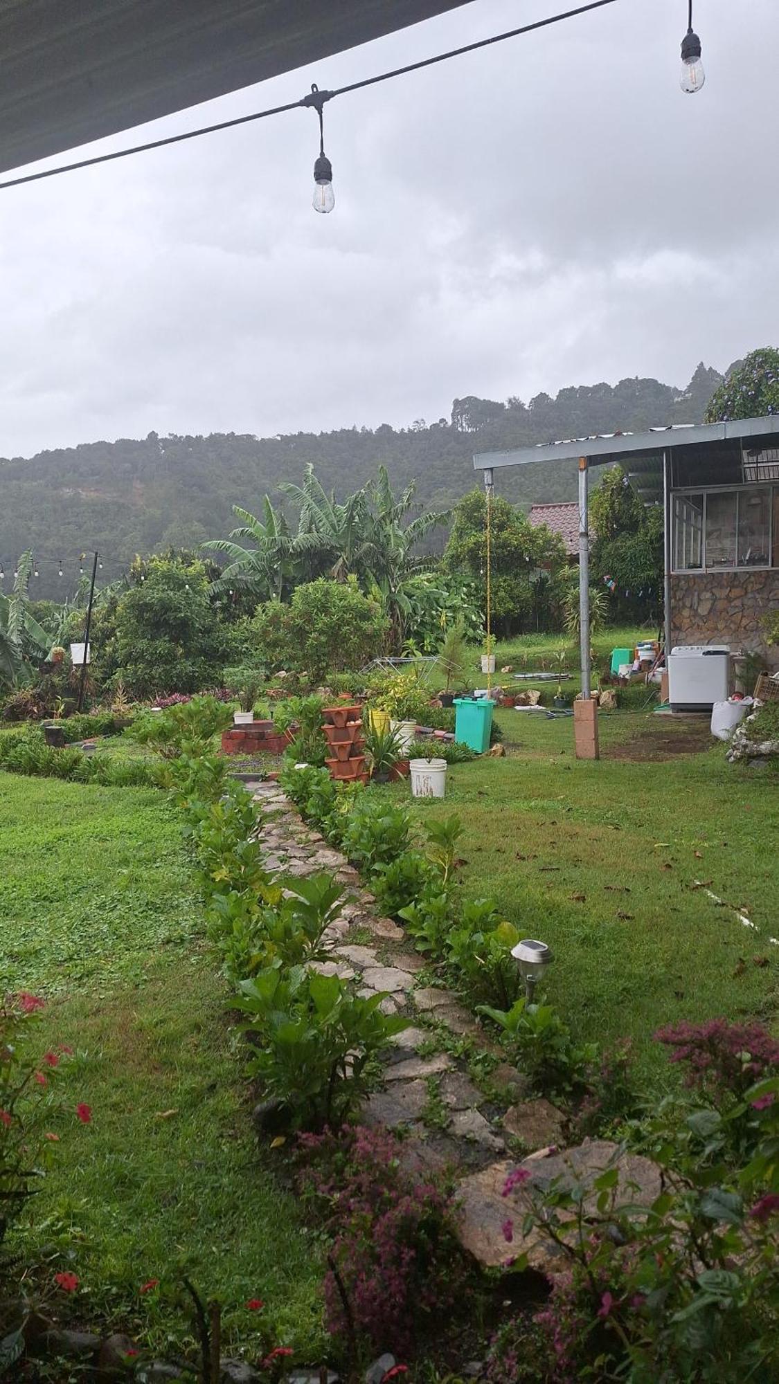 Hostal Vista Boquete Bajo Boquete Bagian luar foto