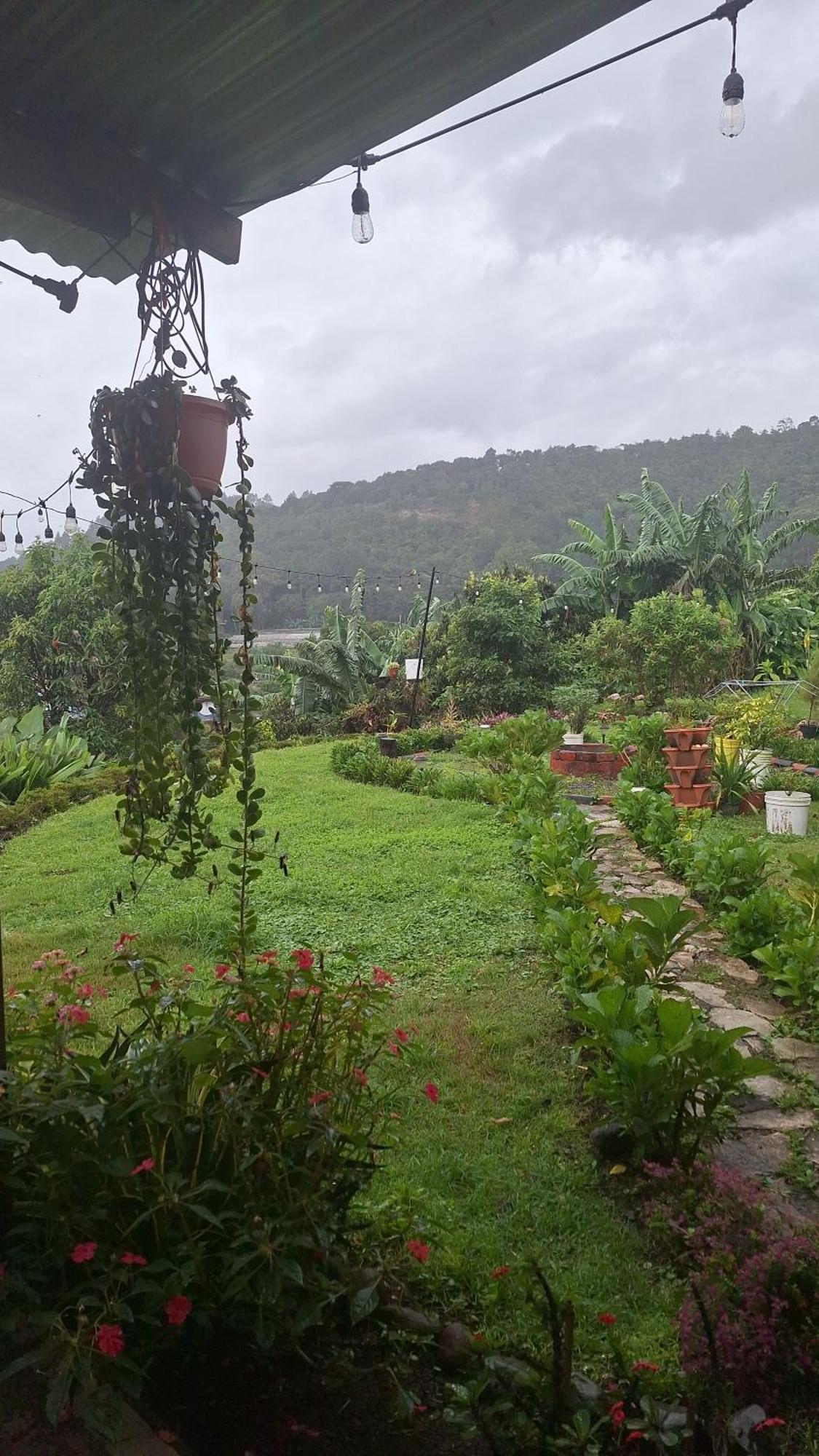 Hostal Vista Boquete Bajo Boquete Bagian luar foto
