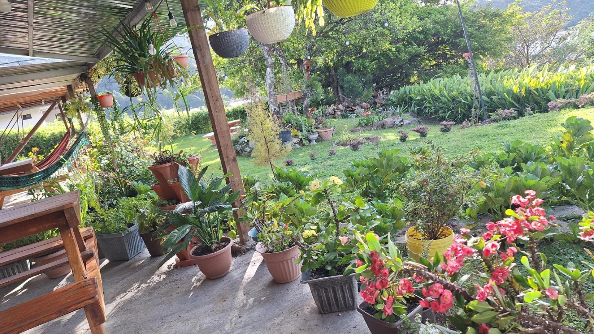 Hostal Vista Boquete Bajo Boquete Bagian luar foto
