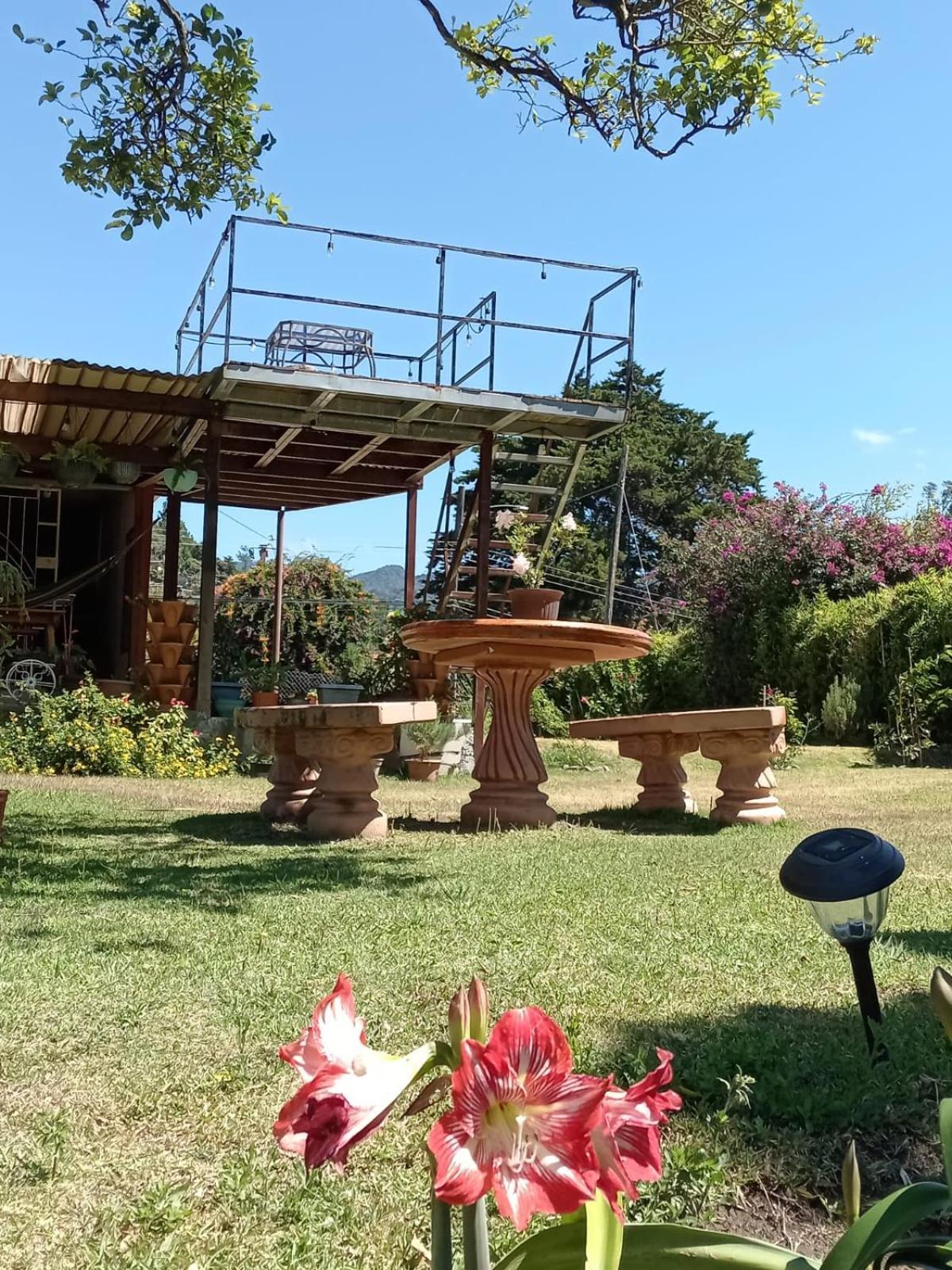 Hostal Vista Boquete Bajo Boquete Bagian luar foto