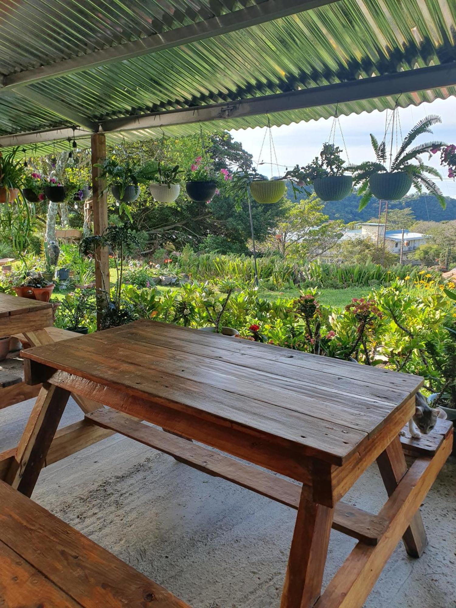 Hostal Vista Boquete Bajo Boquete Bagian luar foto