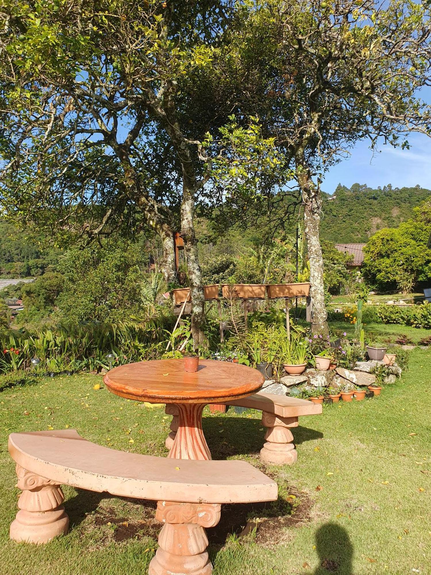 Hostal Vista Boquete Bajo Boquete Bagian luar foto