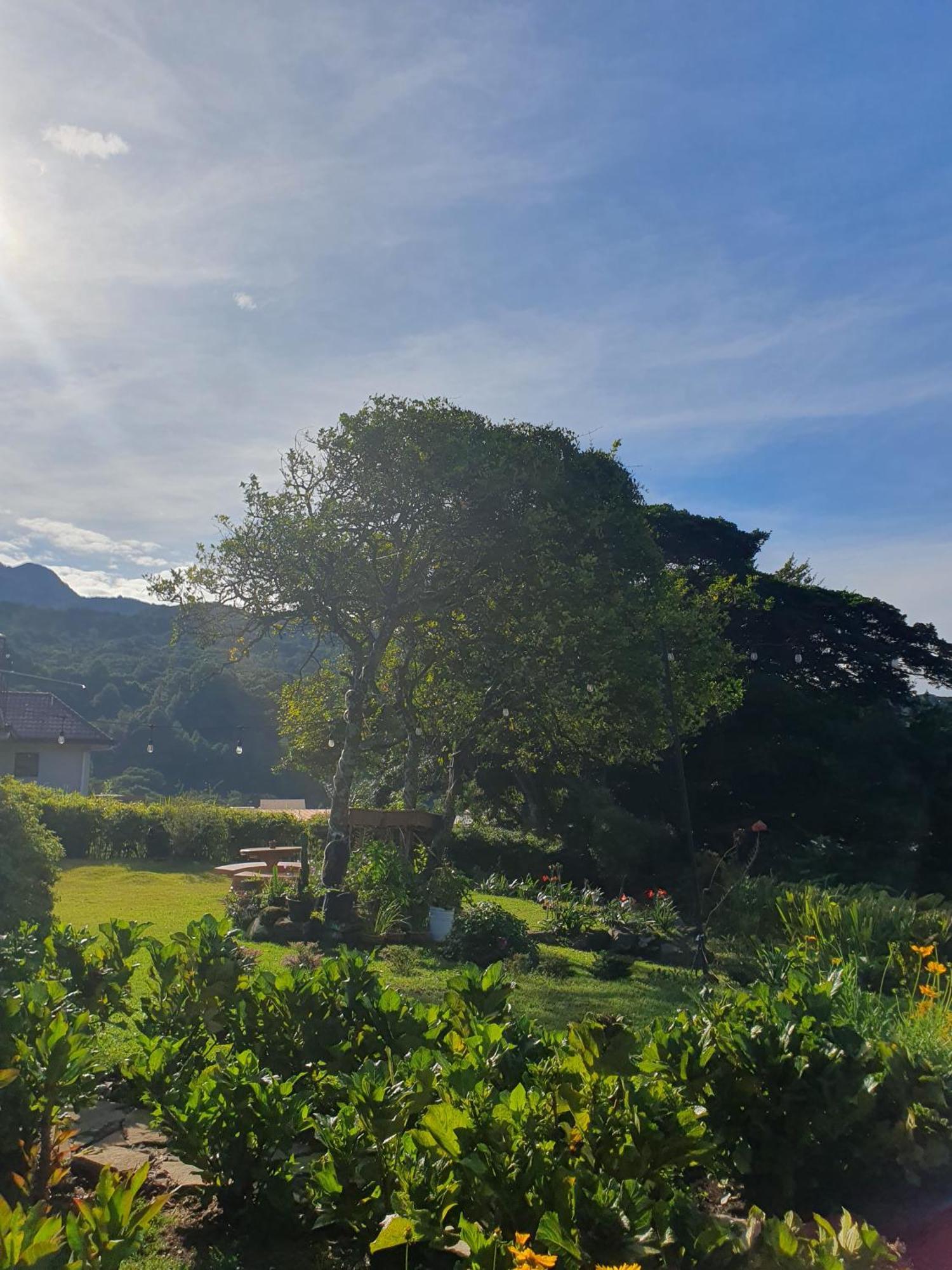Hostal Vista Boquete Bajo Boquete Bagian luar foto